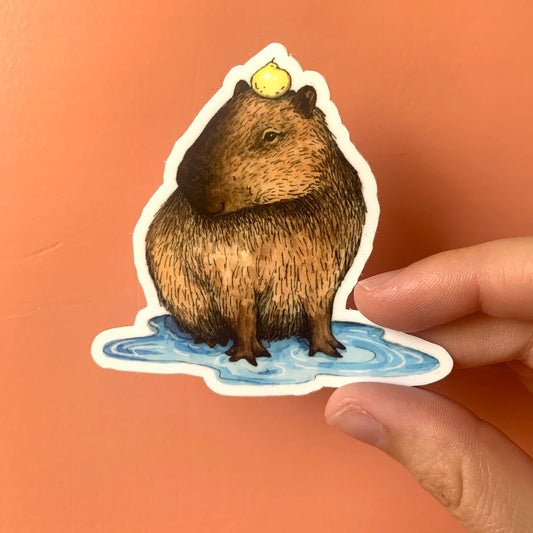 Capybara in Puddle With Yuzu Sticker